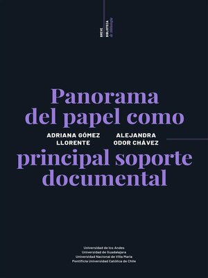 cover image of Panorama del papel como principal soporte documental